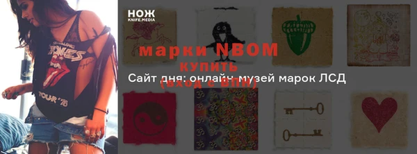 метадон Алексин