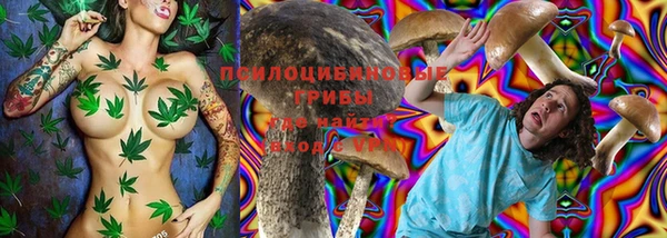 МДПВ Сатка