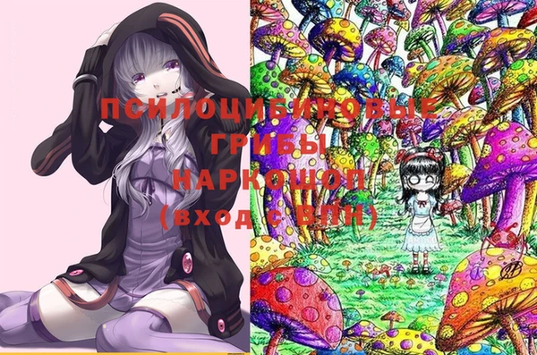 метадон Алексин