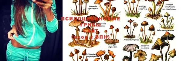 метадон Алексин