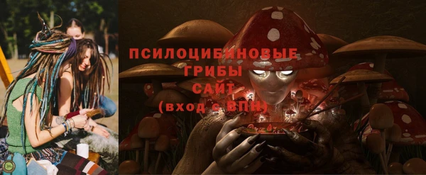 стаф Сафоново
