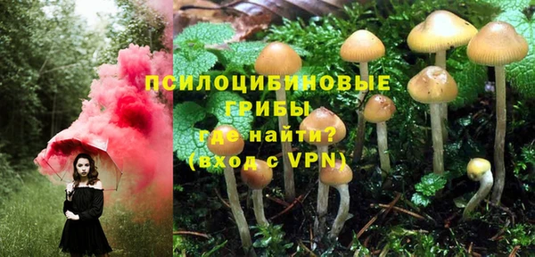 эйфоретик Алзамай