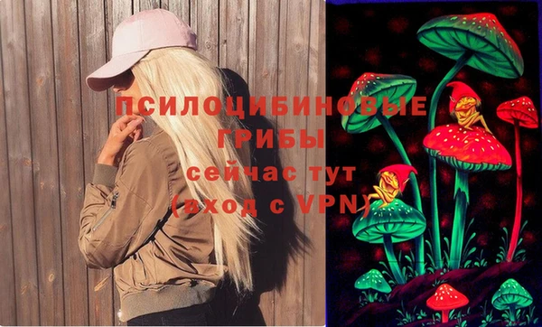 метадон Алексин